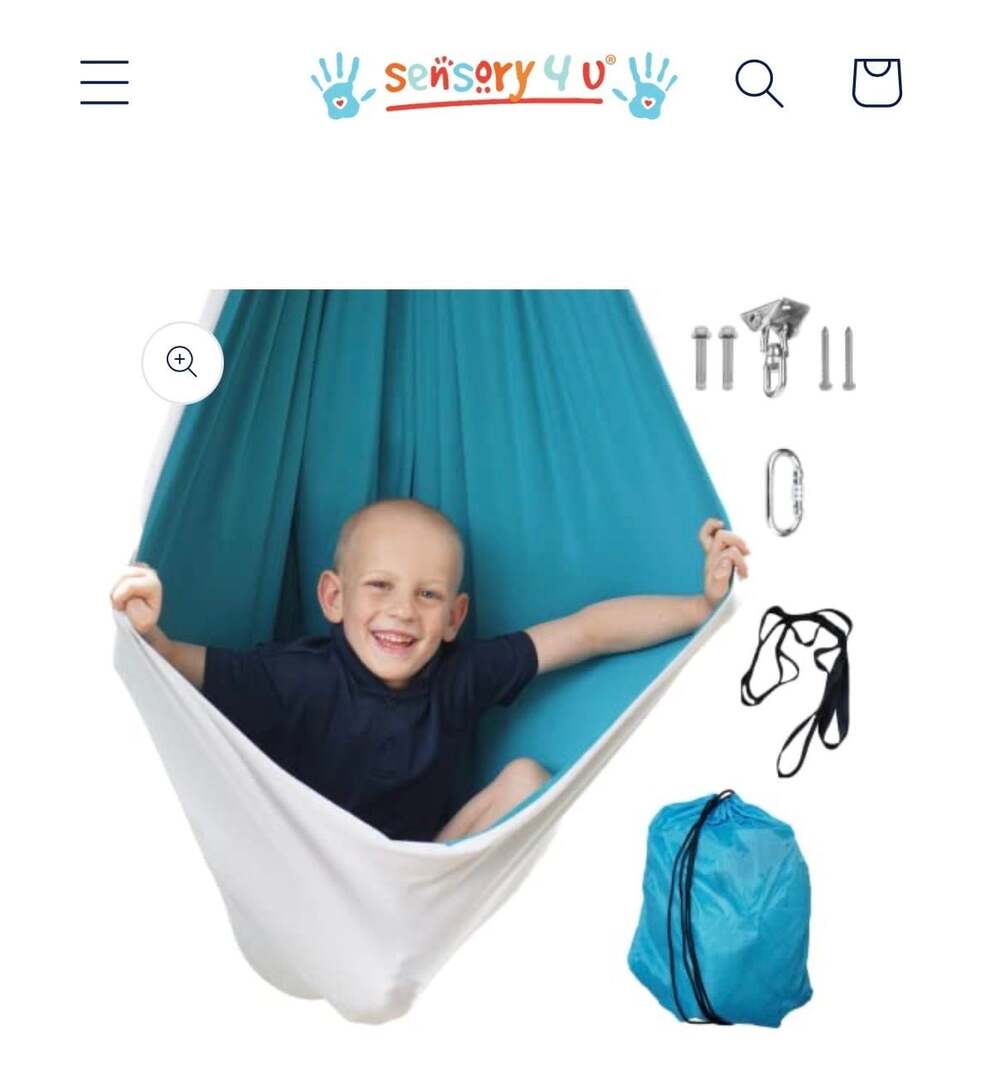 Sensory4U Indoor/Outdoor Therapy Sensory Swing for Kids wmBlue ($44 Retail)